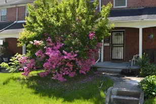 5153 Frederick Ave, Baltimore, MD 21229 - Photo 1