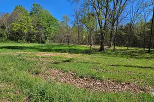 1 4 Ac Physic Spring Rd, Dillwyn, VA 23936 - Photo 1