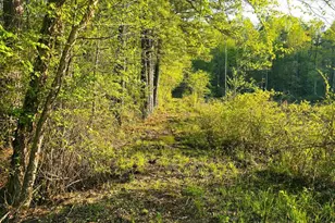 Lot 16 Tax Id 94A-2 B-16 Jennings Dr, Ruther Glen, VA 22546 - Photo 1