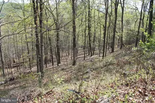 224 Estate Dr, Ruther Glen, VA 22546 - Photo 1