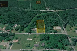 Charles St, Gordonsville, VA 22942 - Photo 1