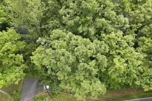 4246 Lakeview Pkwy, Locust Grove, VA 22508 - Photo 1