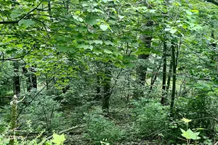 Greenway Ln, Luray, VA 22835 - Photo 1