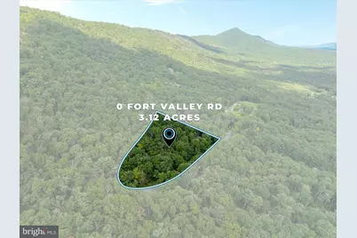 0 Fort Valley, Luray, VA 22835 - Photo 1