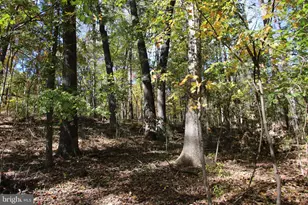 River View Pl, Shenandoah, VA 22849 - Photo 1