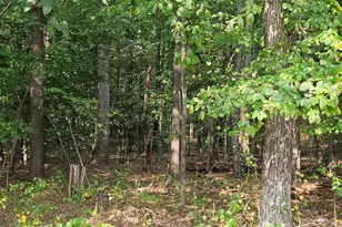 4169 Mountain Rd, Haymarket, VA 20169 - Photo 1