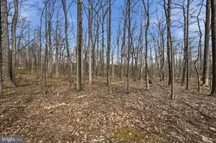 2412 Mountain Rd, Haymarket, VA 20169 - Photo 1
