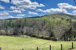 180 5 Forks Rd, Woodville, VA 22749 - Photo 1