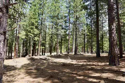 77 Cody Drive, Clio, CA 96106 - Photo 16