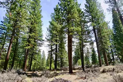 77 Cody Drive, Clio, CA 96106 - Photo 14