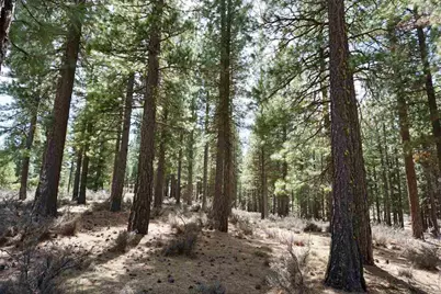 77 Cody Drive, Clio, CA 96106 - Photo 20
