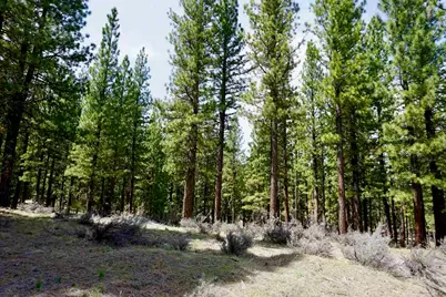 77 Cody Drive, Clio, CA 96106 - Photo 1