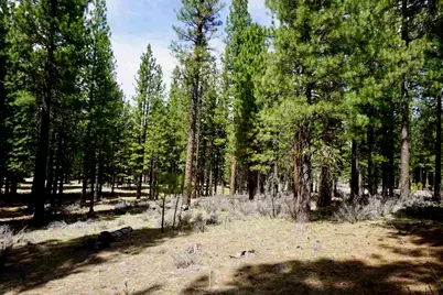 77 Cody Drive, Clio, CA 96106 - Photo 6