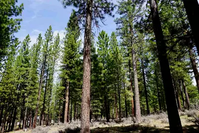 77 Cody Drive, Clio, CA 96106 - Photo 12