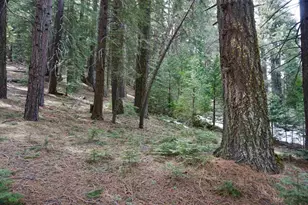 6 Pine Tree Ct, Blairsden, CA 96103 - Photo 1
