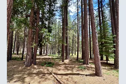 247 Gold Nugget Lane, Graeagle, CA 96103 - Photo 16