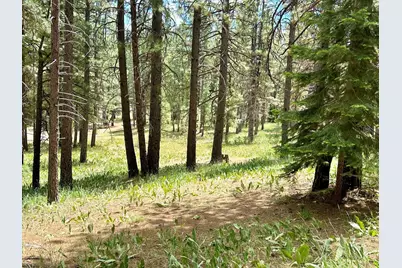 247 Gold Nugget Lane, Graeagle, CA 96103 - Photo 14