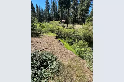 392 Sequoia Circle, Blairsden, CA 96103 - Photo 14