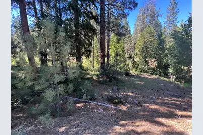 392 Sequoia Circle, Blairsden, CA 96103 - Photo 12