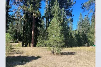 392 Sequoia Circle, Blairsden, CA 96103 - Photo 2