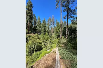392 Sequoia Circle, Blairsden, CA 96103 - Photo 16