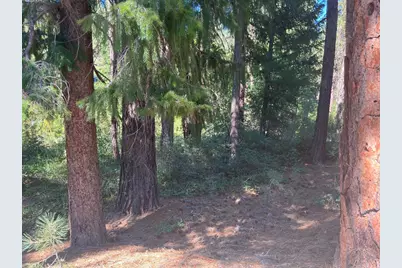 392 Sequoia Circle, Blairsden, CA 96103 - Photo 8