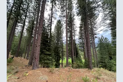 180 Saddle Ridge Road, Clio, CA 96106 - Photo 16