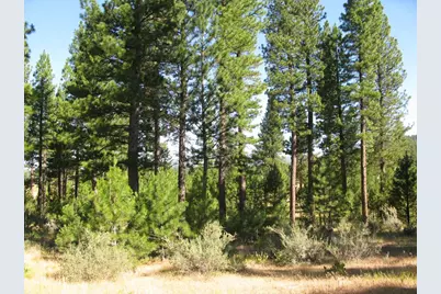 180 Saddle Ridge Road, Clio, CA 96106 - Photo 22