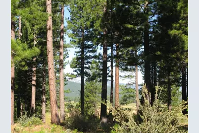 180 Saddle Ridge Road, Clio, CA 96106 - Photo 26