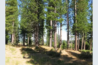 180 Saddle Ridge Road, Clio, CA 96106 - Photo 24