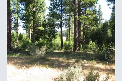 180 Saddle Ridge Road, Clio, CA 96106 - Photo 20