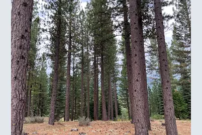 180 Saddle Ridge Road, Clio, CA 96106 - Photo 12