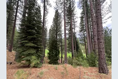 180 Saddle Ridge Road, Clio, CA 96106 - Photo 10