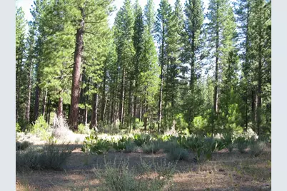 180 Saddle Ridge Road, Clio, CA 96106 - Photo 18