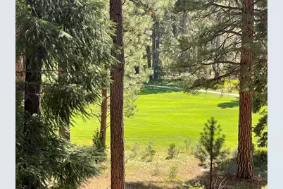180 Saddle Ridge Road, Clio, CA 96106 - Photo 4
