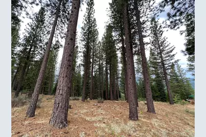 180 Saddle Ridge Road, Clio, CA 96106 - Photo 14