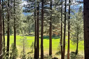 180 Saddle Ridge Rd, Clio, CA 96106 - Photo 1
