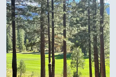 180 Saddle Ridge Road, Clio, CA 96106 - Photo 6
