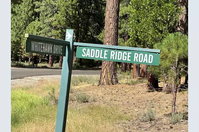 180 Saddle Ridge Road, Clio, CA 96106 - Photo 28