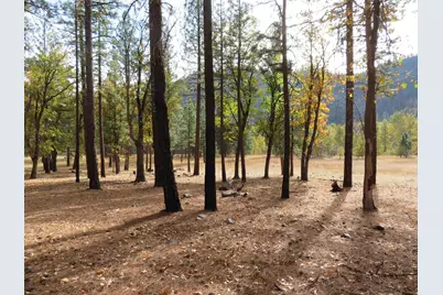 476 Genesee Indian Creek Road, Taylorsville, CA 95983 - Photo 30