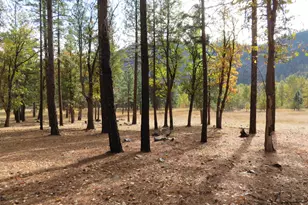 476 Genesee Indian Creek Rd, Taylorsville, CA 95983 - Photo 30