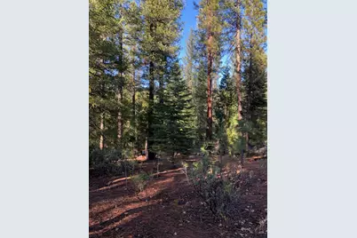 876 Blue Knoll Road, Greenville, CA 95947 - Photo 14