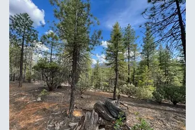 876 Blue Knoll Road, Greenville, CA 95947 - Photo 12