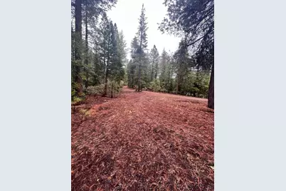 876 Blue Knoll Road, Greenville, CA 95947 - Photo 18