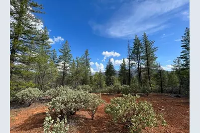 876 Blue Knoll Road, Greenville, CA 95947 - Photo 20