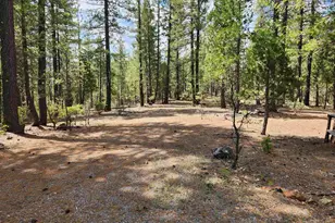876 Blue Knoll Rd, Greenville, CA 95947 - Photo 1