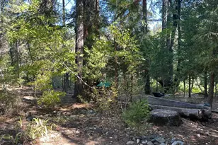 187 Riverview Ln, Twain, CA 95984 - Photo 24