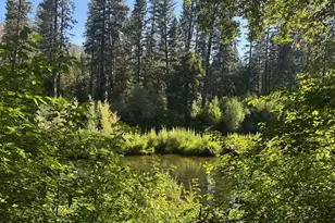 187 Riverview Ln, Twain, CA 95984 - Photo 22