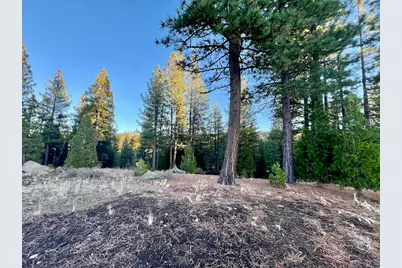 501 Red Sky #9, Portola, CA 96122 - Photo 6