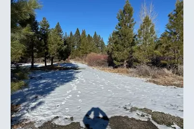 12 Wrangler Trail, Loyalton, CA 96118 - Photo 24